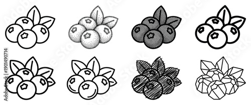 Black and white blueberry icon set with various artistic styles including line art, sketch, stipple, and geometric low poly designs for graphic elements