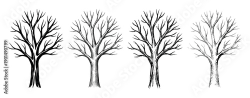 Four leafless winter trees in a hand-drawn illustration set showing different graphic styles from solid black silhouette to detailed ink sketch for nature and seasonal concepts