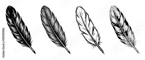 Collection of four hand drawn feathers in different artistic styles, including silhouette, sketch, crosshatching, and grunge, creating a versatile monochrome design element set