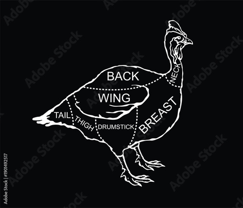 Vector diagram guide for cutting guinea fowl