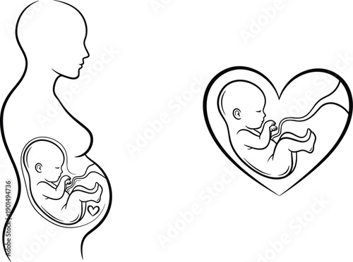 Pregnant woman silhouette with fetus and heart shaped fetus pregnancy baby