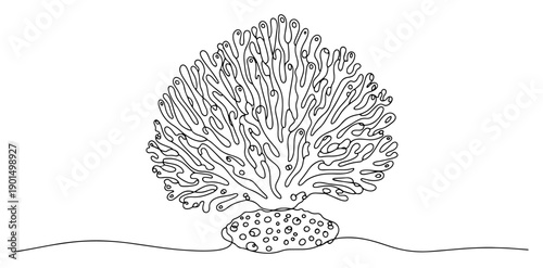 Coral reef organism one line drawing, continuous line art of sea anemone or branching coral for marine nature