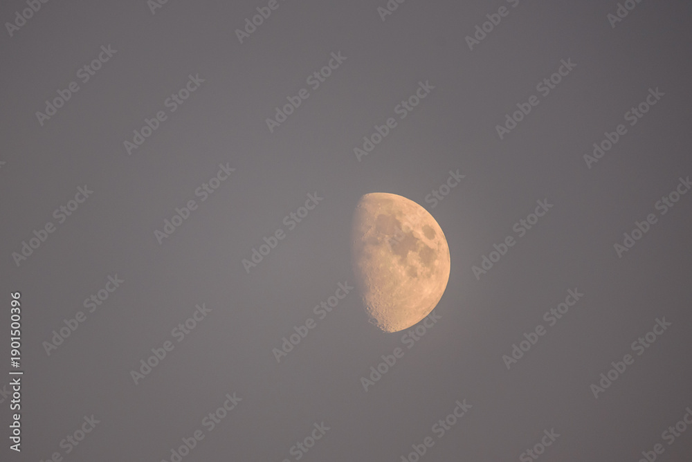 Fototapeta premium Half moon in the sky.