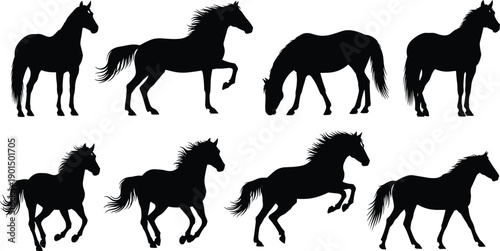 Horse silhouette illustration set, black animal artwork, equine poses collection, standing grazing trotting galloping rearing horses, wildlife design, artistic animal drawing