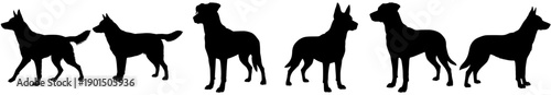 A set of six silhouettes of alpacas in various poses, animal, black, illustration, profile, stand, against transparent background