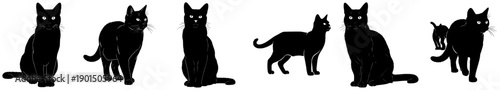 A set of six black silhouettes of cats in various poses, black, cat, illustration, pose, profile, against transparent background