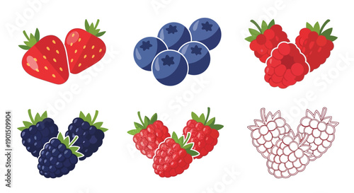 Vibrant Collection of Fresh Berries and Fruity Illustrations on White