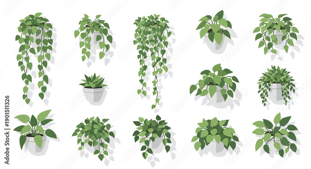 Naklejka premium Collection of Potted Green Houseplants with Drooping and Bushy Foliage