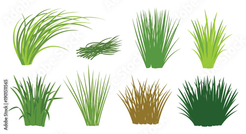 Collection of diverse green and brown grass clumps in various styles and arrangements