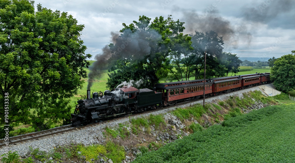 Obraz premium A steam locomotive pulls several carriages along the railway surrounded by lush greenery. Smoke rises from the engine as it moves past the trees on an overcast day.