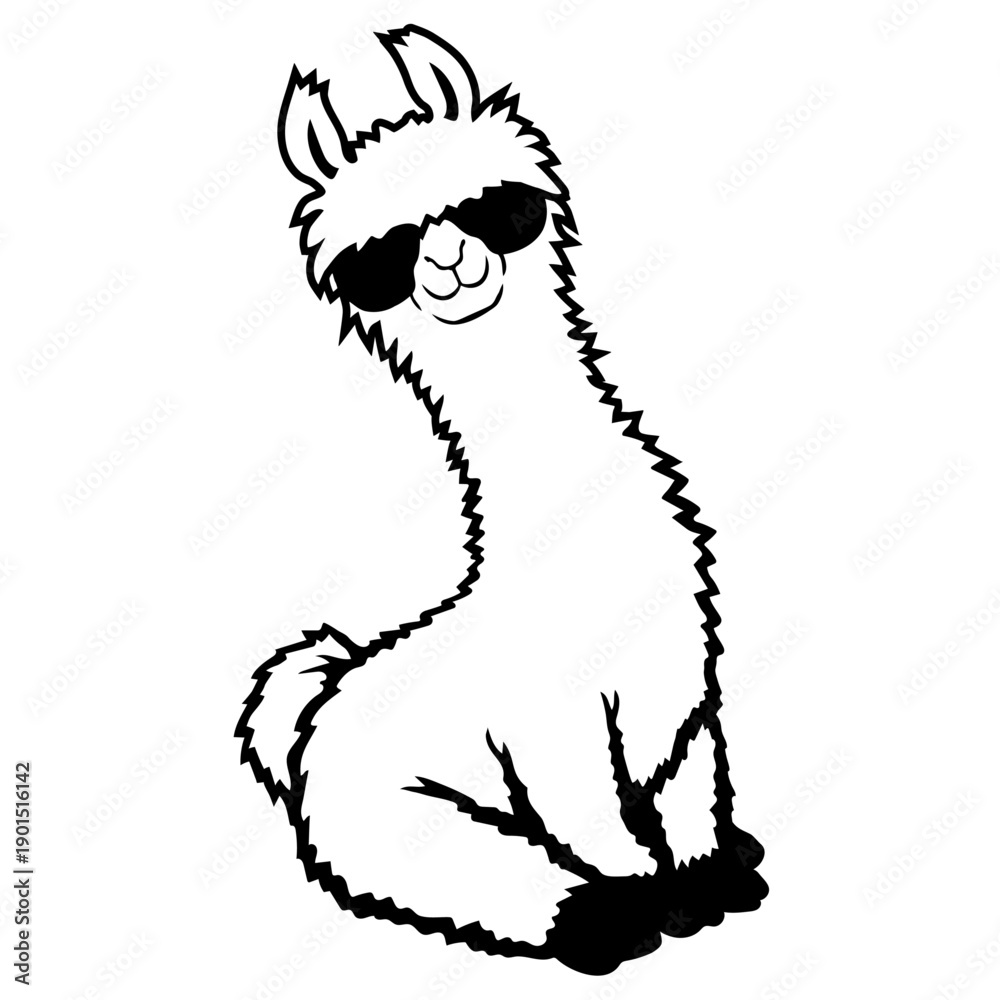 Fototapeta premium No Prob Llama Probllama Drama Cool Sunglasses Sitting Relaxed