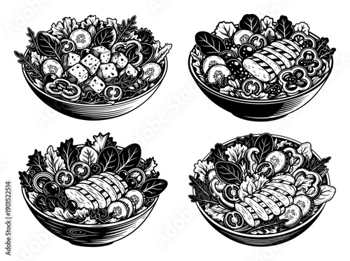 Fresh healthy salad bowls set vector illustration, organic vegetables and grilled chicken or tofu meals, nutritious food menu for restaurant or diet plan sketch