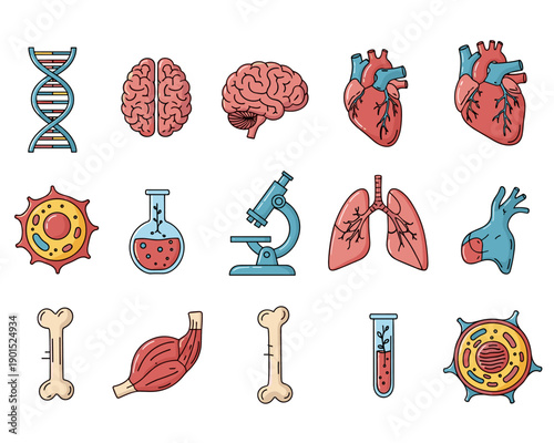 Brain, Heart, DNA, and More - Educational Illustrations in a Creative Lab Environment