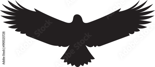 Silhouette of bird of prey with wide open wings on white background
