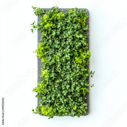door handle with green handle