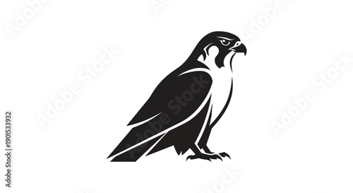Black and white falcon silhouette