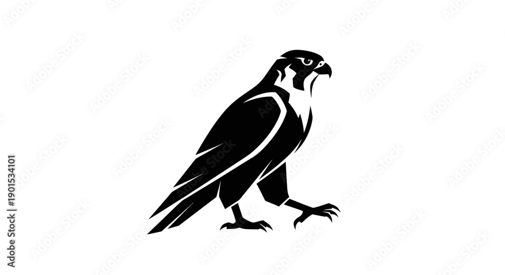 Obraz premium Black and white falcon silhouette