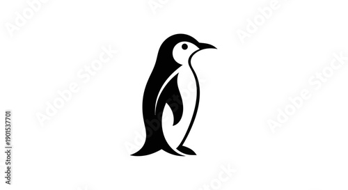 Black and white penguin isolated on white