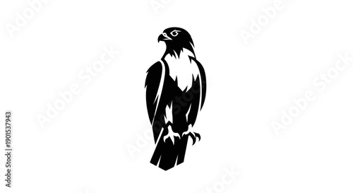 Black and white silhouette of a hawk