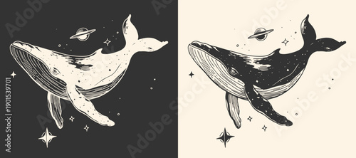 Fantasy whale animal among stars. Vector illustration.