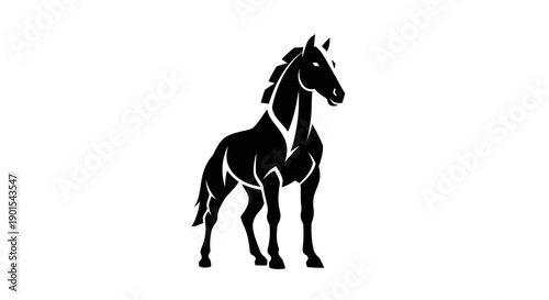 Obraz na płótnie Black and white turtle silhouette illustration
