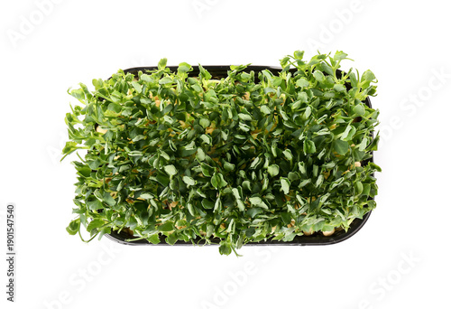 Plastic container with fres...
