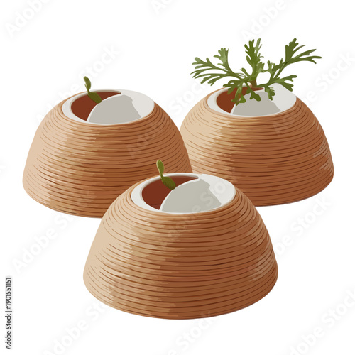 Three woven planters with succulents isolated on white background, Vector, illustration