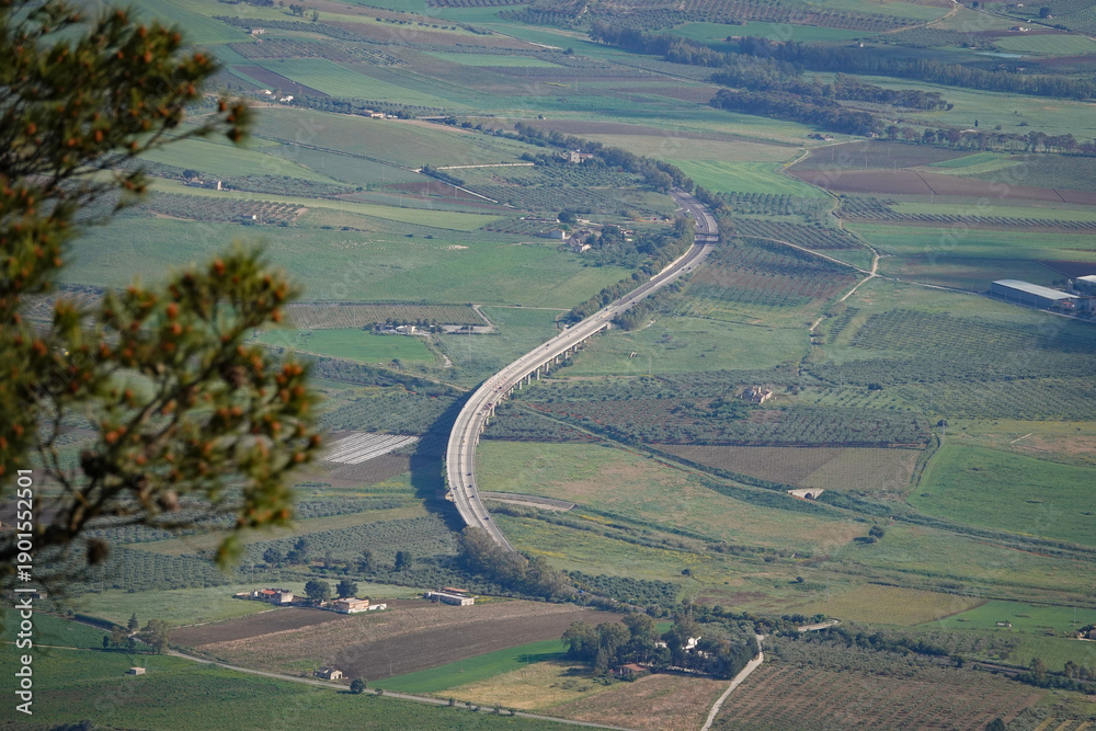 Fototapeta premium Curving highway viaduct crossing farmland in western part of Sicily. Soft, blurred branches in the foreground add depth and natural framing, contrasting with the clean geometry of the winding road.