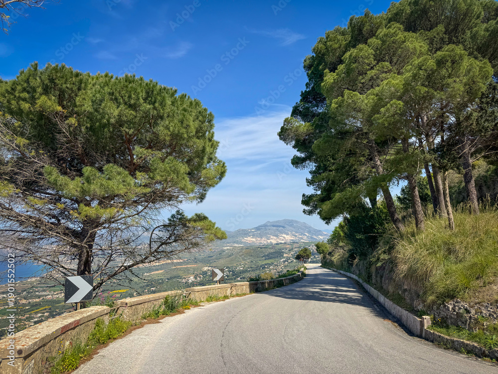 Naklejka premium Quiet mountain road near Erice, Sicily, curving between tall pine trees with a view of valley and distant coast. Strong leading lines and bright blue sky create a classic Sicilian roadtrip atmosphere.