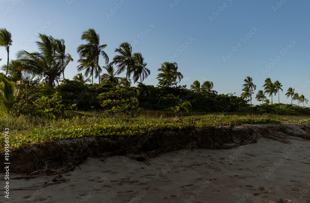 Fototapeta premium Traditional fishing boats resting along the coast of Itacaré, Bahia, Brazil, under strong yellow sunlight. The intense tropical sun creates golden reflections on the ocean surface, highlighting the vi