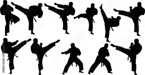 Martial Arts Karate and Taekwondo Silhouettes Set, Flat Vector Action Illustration Isolated