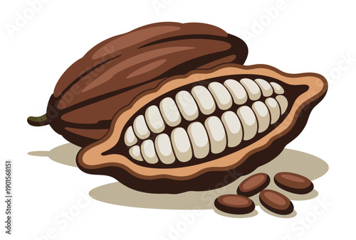 An illustration of a cacao pod with beans spilling out on a white background