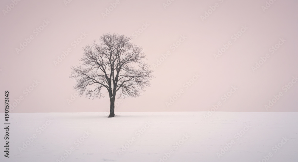 Fototapeta premium Bare Tree in Snowy Field with Muted Pink Sky Minimalist Landscape