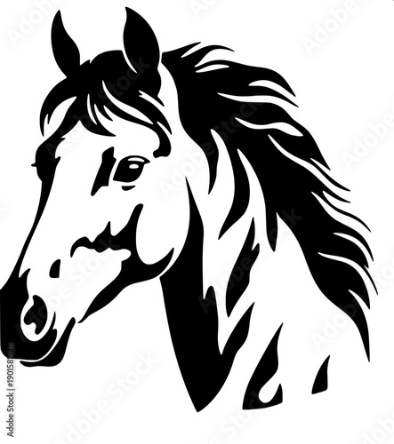 Stylized horse portrait merged with female face silhouette, long wind flowing hair forming horse mane, black and white vector illustration