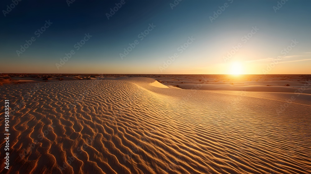 Fototapeta premium Golden Hour Beach Serenity - A Breathtaking Sunset Over Sandy Shores and Ocean Waves.