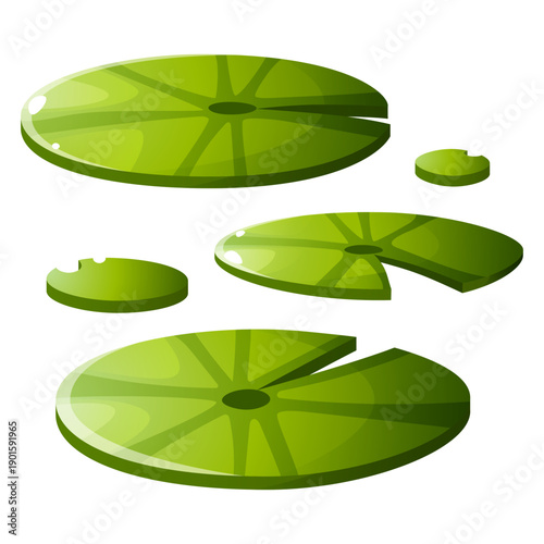 Set of green lotus leaves, water lilies, side view. Green, leaf on the surface, plant. For designing banners and flyers on the theme of the East, yoga and meditation, weddings, icon and logo