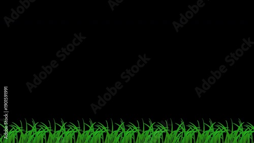 Grass Swaying and Moving in the Wind Overlay on Transparent Background 4K