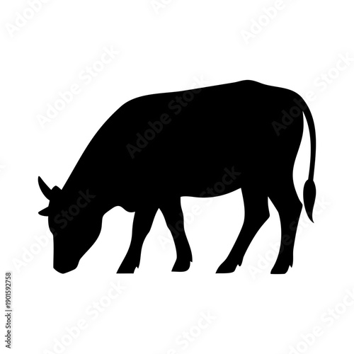 Ilustrasi vektor siluet hitam sapi, design seni ternak, satwa alam dan satwa liar.