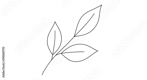 Elegant Leaf Branch Outline Icon Representing Nature and Growth on Isolated White Background
