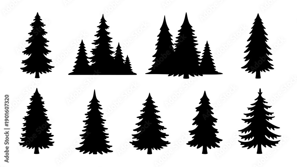 Obraz premium Collection of various black silhouette pine trees and firs.