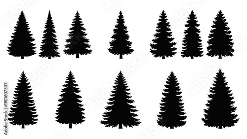 Collection of various black silhouette pine trees on a white background.