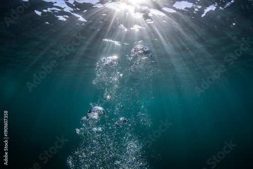Air bubbles rising through dark blue underwater scene with sun rays piercing the surface in the ocean of Australia, creating a calm and minimal marine background.