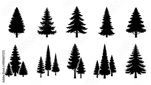 Collection of various evergreen tree silhouettes in a forest setting.