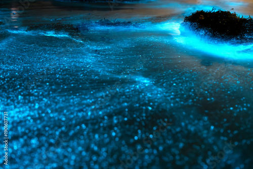 Bioluminescent waves glowing blue around coastal rock platforms at night in Jervis Bay, New South Wales, Australia, with illuminated water and calm ocean conditions.