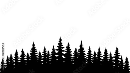 Dense Forest Silhouette with Tall Pine Trees Against White Sky.