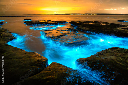 Bioluminescent waves glowing blue around coastal rock platforms at night in Jervis Bay, New South Wales, Australia, with illuminated water and calm ocean conditions.