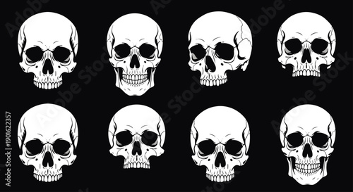 Collection of Eight Detailed Human Skull Illustrations on Black Background.