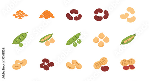 Flat lay of various colorful beans and legumes arranged in rows on a clean white background, conveying a sense of world pulses day.