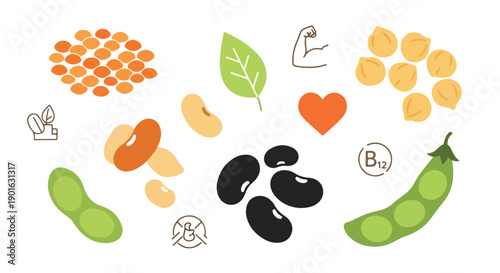 Flat lay illustration of various nutritious foods including legumes and nuts on a white background, symbolizing a healthy diet on world pulses day.