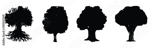 Pine tree silhouettes. Evergreen forest firs and spruces black shapes, wild nature trees templates. Vector illustration in stroke fill in white.